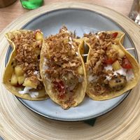 No pish tacos  at Barakokula in Split