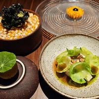 Starters at JOLA in Vienna