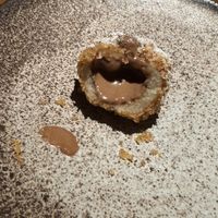  at JOLA in Vienna