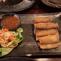 Vegan spring rolls 👍🏻  at Linnea & Basilika - Värnhem  in Malmo