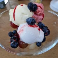 Sorbet zonder slagroom at Abel in Poortugaal