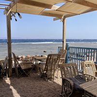 Outdoor seating  at Coffee Wheel in Dahab