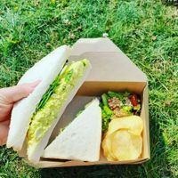  at Plant Faced Coffee Shop in Hadleigh