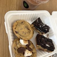   at Plant Faced Coffee Shop in Hadleigh