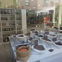 Interior at Aloe Veggie in Zaragoza