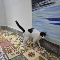  at Soulrebel Rio in Rio De Janeiro