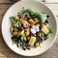 Plant proteins, healthy carbs, vitamins and minerals. Nuts, vegan cheese, grains, pulses and vegetables make the salads satisfying and nutritious. at Cafe@62 in Brighton