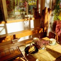 A great place to take in the twilight sunshine while enjoying the garden feel. Cake and coffee make a great tea time snack. at Cafe@62 in Brighton