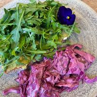 Avo toast  at Cafe@62 in Brighton