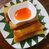 Vegan vegetable Spring Rolls without egg at Nary Kitchen in Battambang