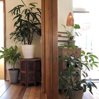 Interior  at Santosha 산토샤 in Jeju