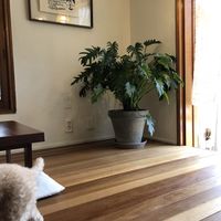 Interior  at Santosha 산토샤 in Jeju