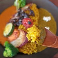 Curry at Santosha 산토샤 in Jeju