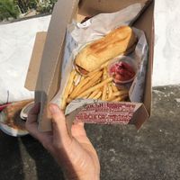 dog  at Revolution - Cloud Kitchen in Playa Del Carmen