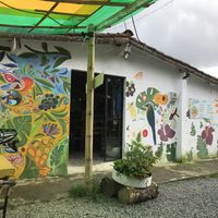   at Tulia in Medellin