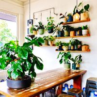 Inside cafe at Source Foods in Perth