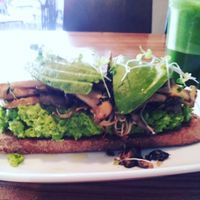 Smashed peas, mushrooms, avocado and truffle oil on toast at Source Foods in Perth