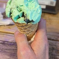 Mint choc chip at Moo Moo Isbar - Nordhavn in Copenhagen