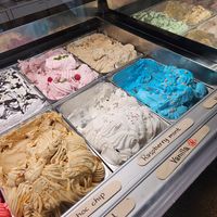  at Moo Moo Isbar - Nordhavn in Copenhagen