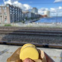   at Moo Moo Isbar - Nordhavn in Copenhagen