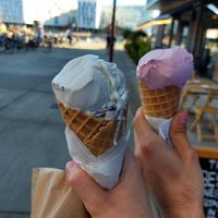 Stratciattela and blueberry at Moo Moo Isbar - Nordhavn in Copenhagen