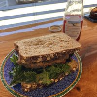 Fried Mushroom Sandwich is one of my fave sandwiches of all time! The batter was spiced perfectly, combined with the fresh kale with the perfect dressing to complement the flavors  at Sir Vegaani in Roanoke