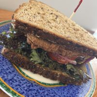 Fried Mushroom Sandwich   at Sir Vegaani in Roanoke