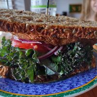 Delicious mushroom sandwich  at Sir Vegaani in Roanoke