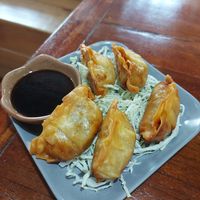 Gyoza at I Luv Sushi CNX in Chiang Mai