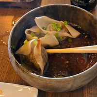 HOV Dumplings at House of Vegano in St Petersburg