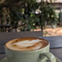 Oat flattie at The Plantsman in White River