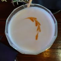  at Bonsai Plant Kitchen in Brighton