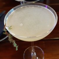  at Bonsai Plant Kitchen in Brighton