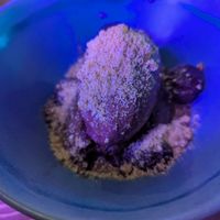 Rich and indulgent at Bonsai Plant Kitchen in Brighton