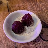  at Bonsai Plant Kitchen in Brighton