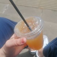 Iced tea at 200 Degrees Coffee in Sheffield