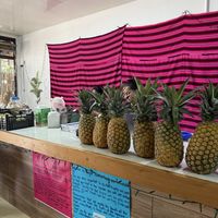   at Jungle Bowls in La Fortuna
