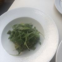 Starter.Melon and cucumbers in lemon pesto  at Menza in Budapest