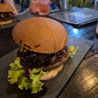  at Mosh Vegan in Recife