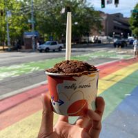Double Chocolate Soft Serve at Molly Moon's Homemade Ice Cream in Seattle