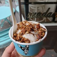 Kid scoop vegan apple cider donut seasonal (one of my fave seasonals so far!) w/ candied hazelnut topping at Molly Moon's Homemade Ice Cream in Seattle