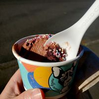 Kid scoop vegan chocolate brownie with sprinkles topping at Molly Moon's Homemade Ice Cream in Seattle
