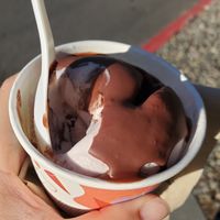 Kid scoop vegan coconut chunk with vegan chocolate hard shell topping at Molly Moon's Homemade Ice Cream in Seattle