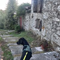   at Caserio da Castineira in Montederramo