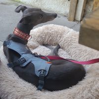  at Romilly's in Barry