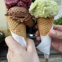 Only  left ice cream is vegan 🤪  at Hokey Pokey in Berlin