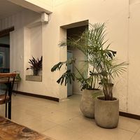 Interior #Veganuary at Pianta in Bogota