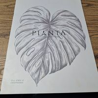  at Pianta in Bogota