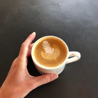  at PACT Coffee in Edmonton