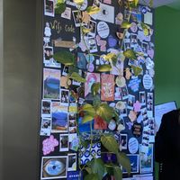   at Spread The Moon in Brussels